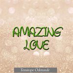Amazing Love cover image