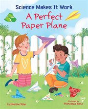 A perfect paper plane cover image