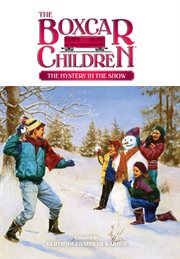 The mystery in the snow cover image
