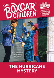 The hurricane mystery cover image