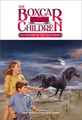 Cover image for The Mystery of the Wild Ponies