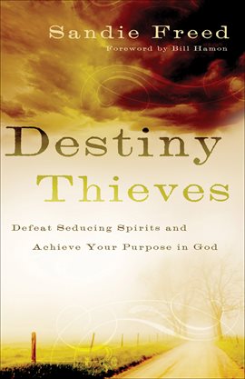 Cover image for Destiny Thieves