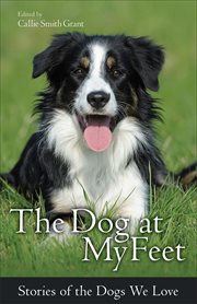 The dog at my feet stories of the dogs we love cover image