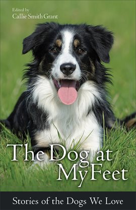 Cover image for The Dog at My Feet