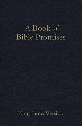 Cover image for KJV Book of Bible Promises Midnight Blue