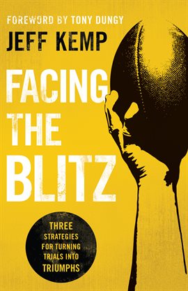 Cover image for Facing the Blitz