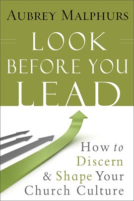 Cover image for Look Before You Lead