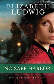 No safe harbor : a novel cover image