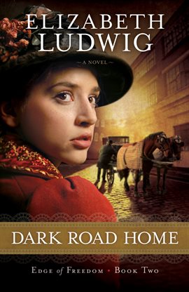 Cover image for Dark Road Home