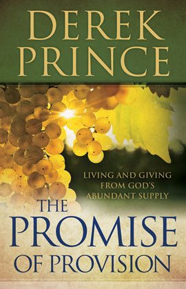 Cover image for The Promise of Provision