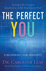 The perfect you : a blueprint for identity cover image