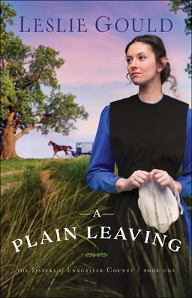 Cover image for A Plain Leaving