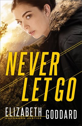 Cover image for Never Let Go