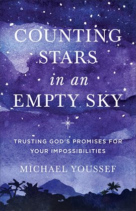 Cover image for Counting Stars in an Empty Sky