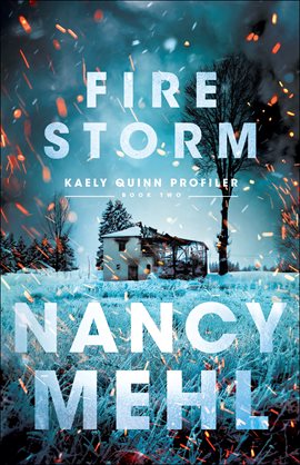 Cover image for Fire Storm