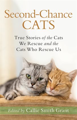 Cover image for Second-Chance Cats