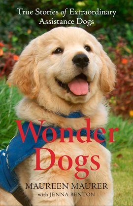 Cover image for Wonder Dogs