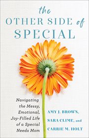 The other side of special : navigating the messy, emotional, joy-filled life of a special needs mom cover image