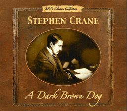 Cover image for A Dark Brown Dog