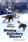 Missing in the Boundary Waters cover image