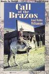 Call of the Brazos cover image