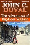 The adventures of Big-Foot Wallace cover image