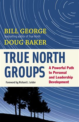 Cover image for True North Groups