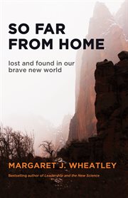 So far from home: lost and found in our brave new world cover image