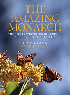 Cover image for The Amazing Monarch