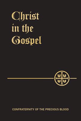 Cover image for Christ in the Gospel