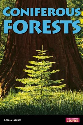 Cover image for Coniferous Forests