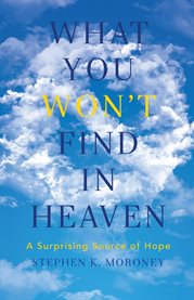 What You WON'T Find in Heaven : a Surprising Source of Hope cover image