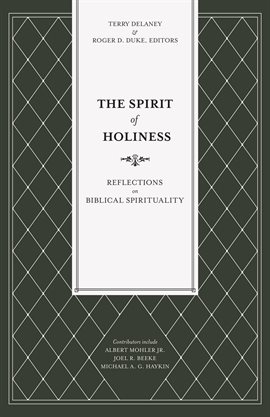 Cover image for The Spirit of Holiness