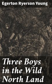 Three Boys in the Wild North Land cover image