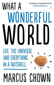 What a Wonderful World : One Man's Attempt to Explain the Big Stuff cover image