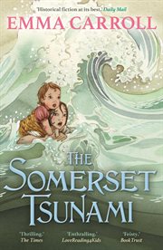 The Somerset Tsunami cover image