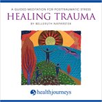 Guided imagery for posttraumatic stress : healing trauma cover image