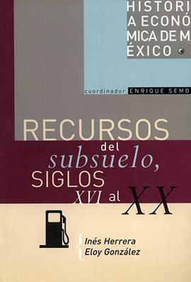 Cover image for Recursos del subsuelo, siglos XVI al XX