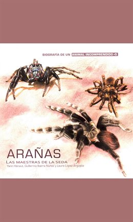 Cover image for Arañas