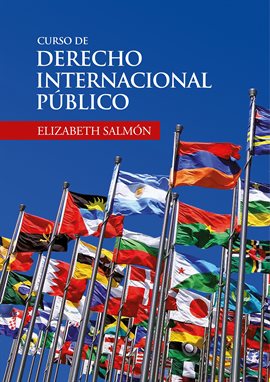 Cover image for Curso de derecho internacional público