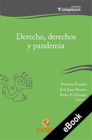 Derecho, derechos y pandemia cover image