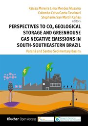 Perspectives to co2 geological storage and greenhouse gas negative emissions in south-southeastern b cover image