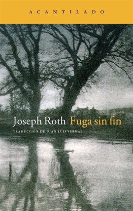 Cover image for Fuga sin fin