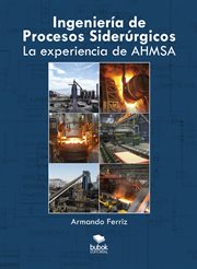 Ingeniería de procesos siderúrgicos : La experiencia de AHMSA cover image