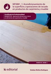 Acondicionamiento de la superficie y operaciones de secado en productos de carpintería y mueble (MF0801_1) cover image