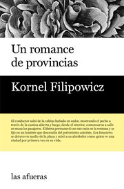 Un romance de provincias cover image