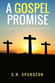 A gospel promisse cover image