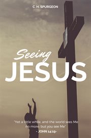 Seeing jesus cover image