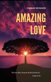 Amazing love cover image