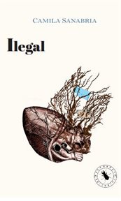 Ilegal cover image